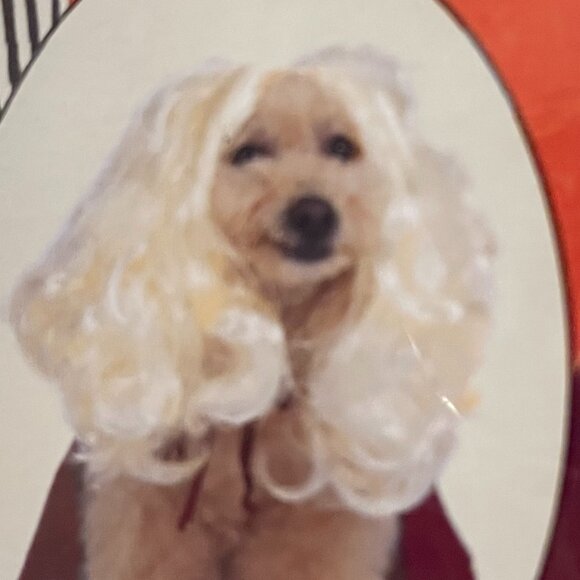 Disney's Hocus Pocus Dog Halloween Costume. It's Sarah Sanderson!  Size MED  NWT - Picture 2 of 8